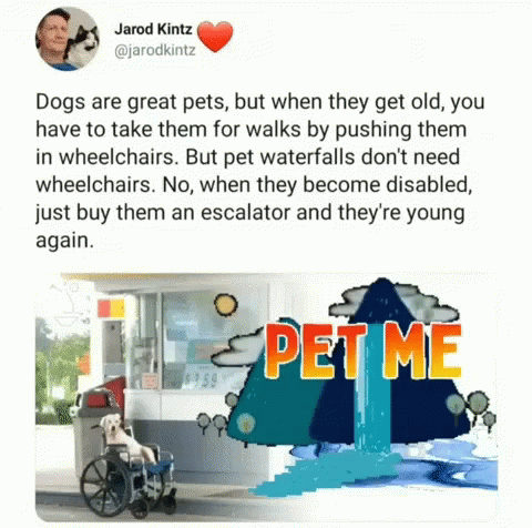 a poster with a person in a wheelchair pet me