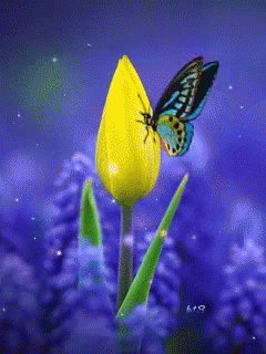 a erfly sitting on the tip of a blue flower
