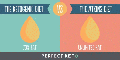 the differences between ketogenic and fat