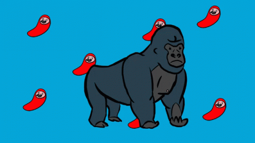 a gorilla standing with blue ons around his neck