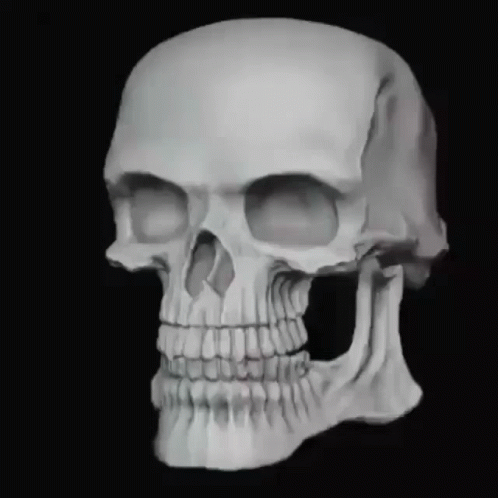 a x - ray of the side view of a human skull