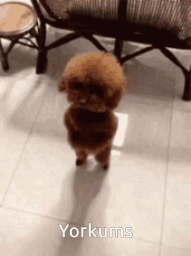 a teddy bear walking away from a baby chair