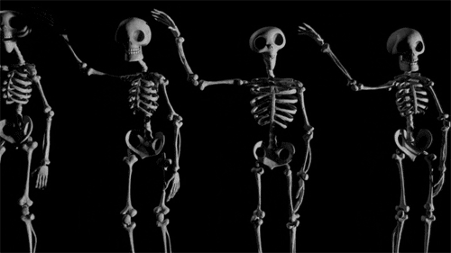three types of skeleton from side view in black and white