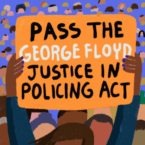 protest sign that says, pass the george floyd justice in poland act