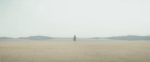 a person standing in the fog on a beach