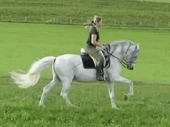 a lady riding a white horse across the green