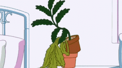 a plant is sitting in a flower pot next to a bed