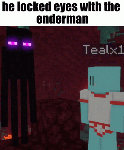 a picture that has text that reads the locked eyes with the ender man