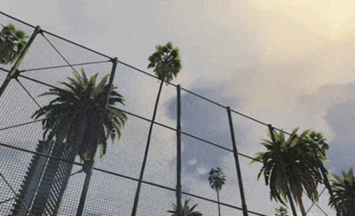 a bunch of palm trees growing on a fence