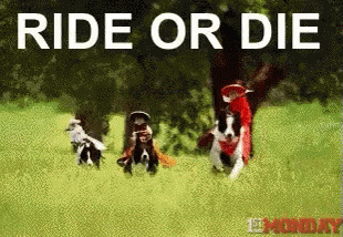 three dogs playing in grass with the words'ride or die '