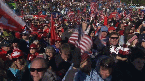 a large crowd is holding up flags in their hands