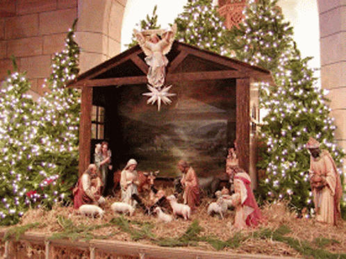 a group of people and animals sitting around a small christmas nativity scene