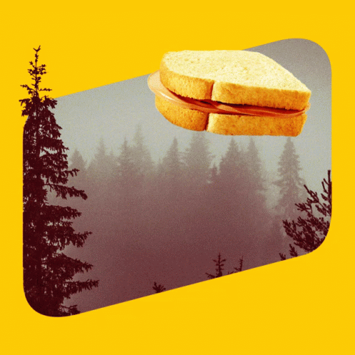 a digital picture with an image of a piece of bread floating in the air