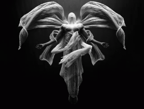 an image of a woman and wings with dark background