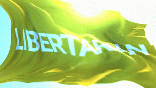 an image of a green and yellow flag with the word libertain in large letters