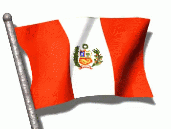 the flag of the city of el salvador