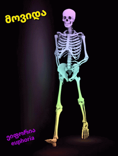 the skeleton is glowing brightly in the dark