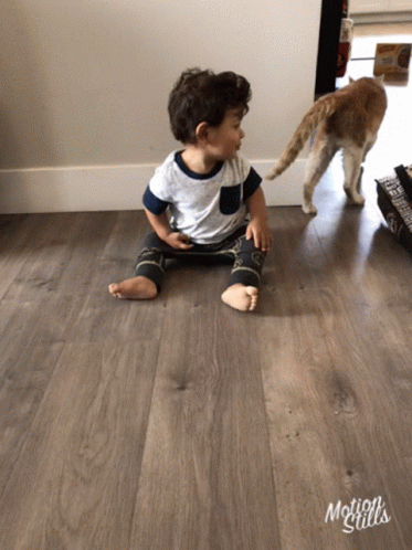 a boy in a t - shirt playing with a cat