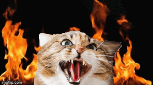 a cat has its mouth wide open with the fire in the background