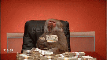 a monkey sits in a chair on the television show