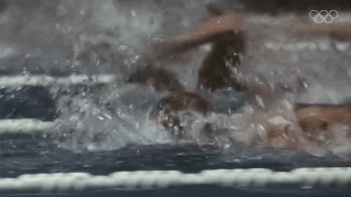 the swimmers are racing through the water to a bigger pool