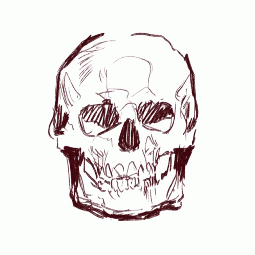 a drawing of a skull that is sitting in front of a white wall