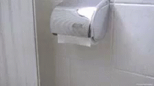 a toilet paper roll hanging on the wall of a bathroom