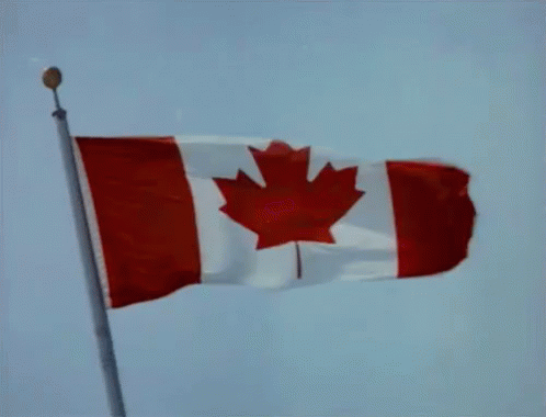 a canadian flag waving against a beige background