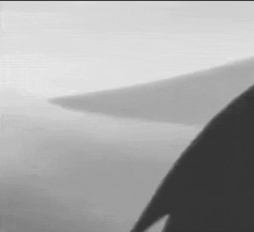 the silhouette of a person holding a surf board