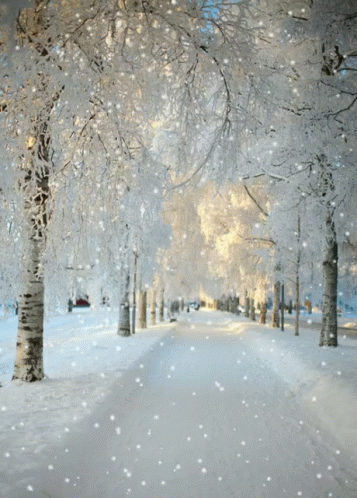 the street on which the snow is falling has many trees near by