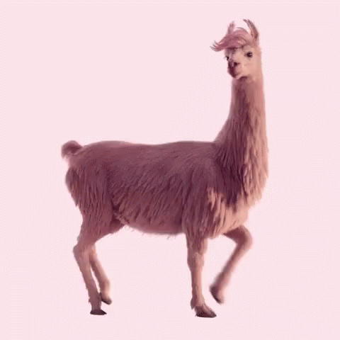 a purple lama with a long mane and a strange look on its face