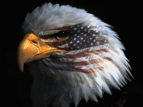 a patriotic eagle with the american flag painted on it's face