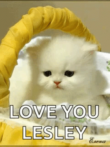 an ad showing the face of a cat with the words love you lessey