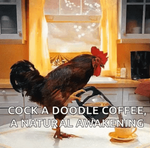 a cock with a spoon sits on the counter of a kitchen