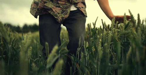 two people are walking through a field and holding hands