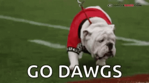 an image of a dog on a field with text go dawgs