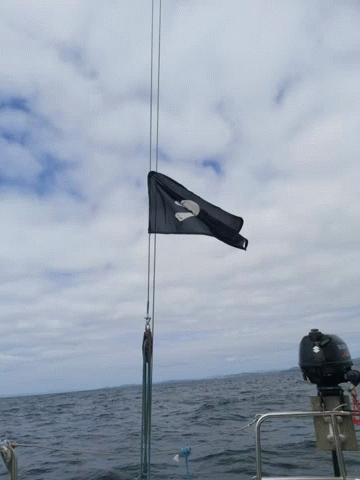 a flag flying on a pole on a boat in the ocean