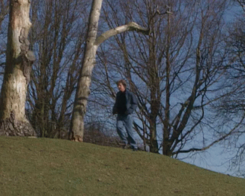 a person stands in the middle of a park on a hill