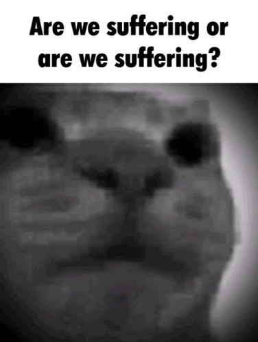 there is a message about suffering and an image of a cat