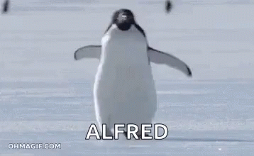 a penguin walking on some sand and the caption reads altered