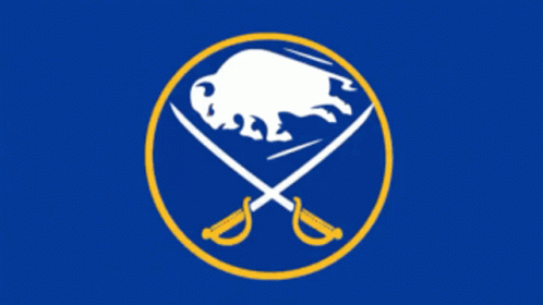 a po of a bear and two ski poles logo