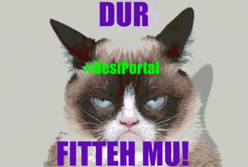 a poster with a cat in front of it saying dur crossportal, fith wu