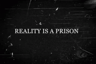 a black and white po with text that reads reality is a prison