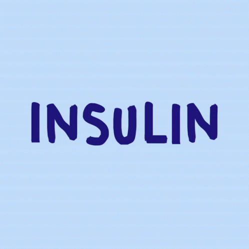 a red word spelling inselinn against a white background
