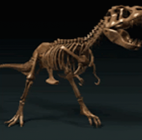 3d model of the front body of a dinosaur