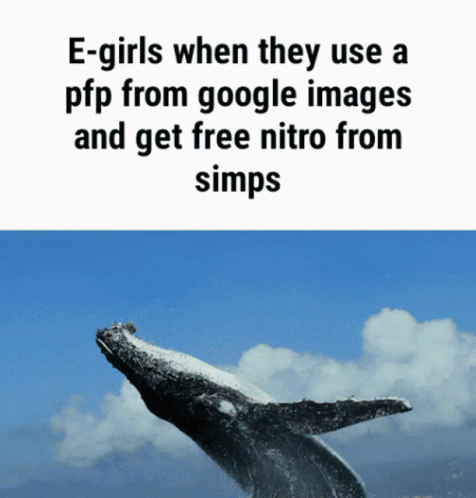 the caption reads, girls when they use a ppp from google images and get free niro from simps
