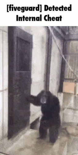 a bear walking out of an open door