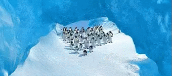 a group of people standing on top of a snowy mountain