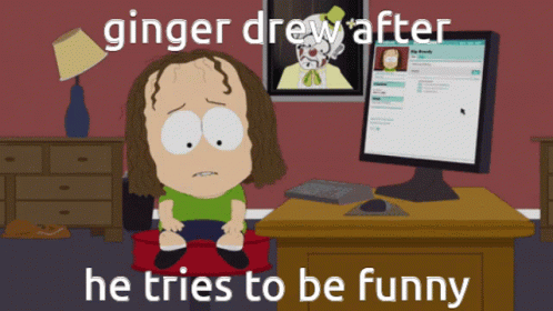 the animated character sitting in front of a computer with the words ginger drew after he tries to be funny
