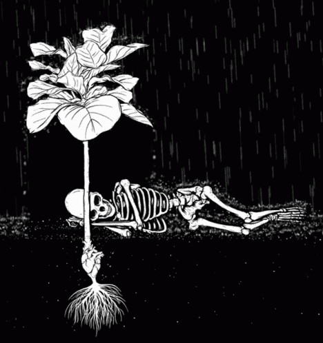 a skeleton is lying on a ground by a flower
